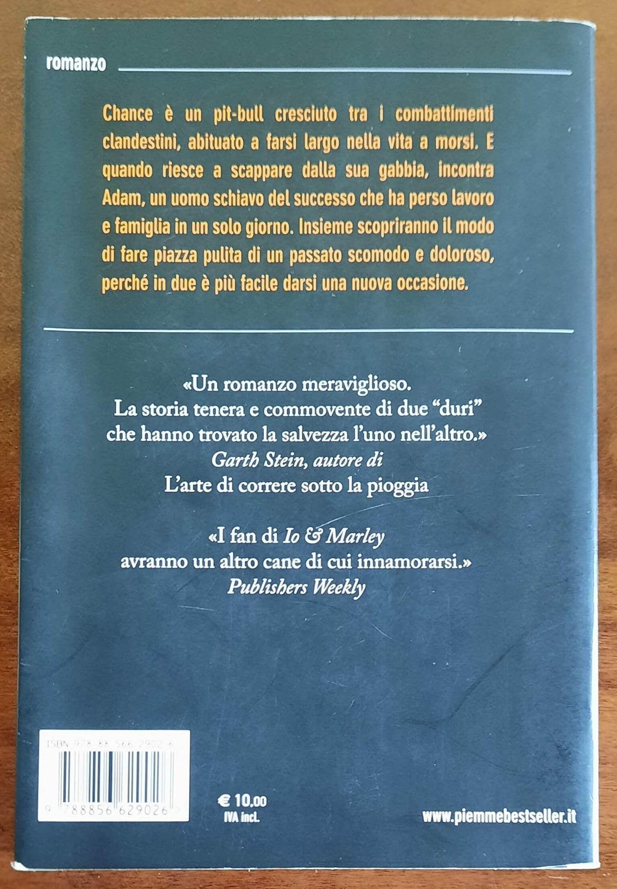 Lezioni di vita randagia - di Susan Wilson - Piemme