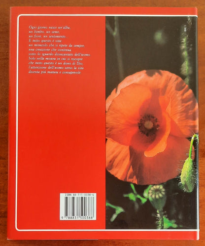 Lo stupore della vita. Parole e immagini del quotidiano - Edizioni Paoline