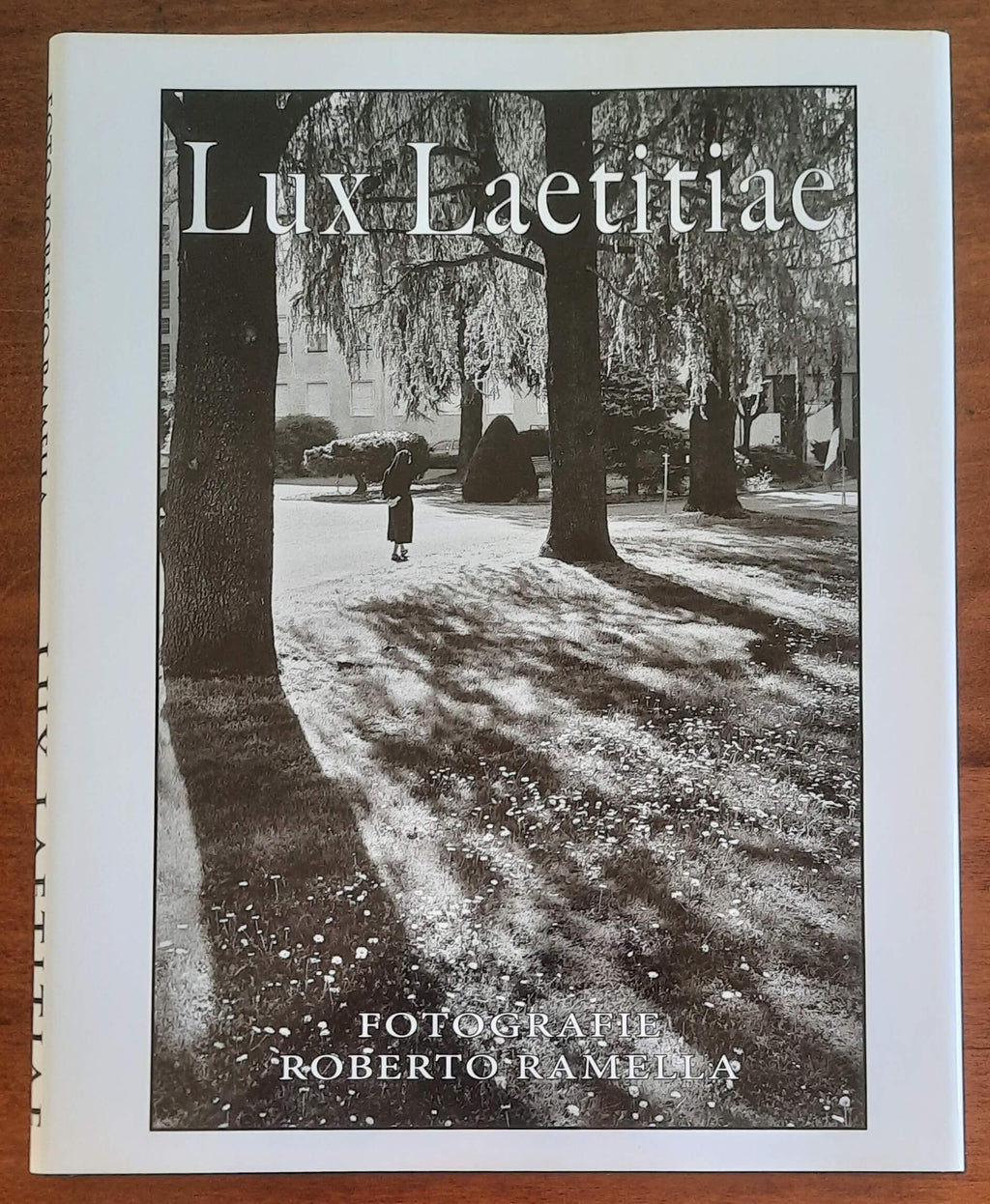 Lux Laetitiae - Fotografie di Roberto Ramella - 2013
