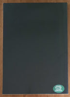 Manuale del puncetto valsesiano - di Angela Petterino Camaschella