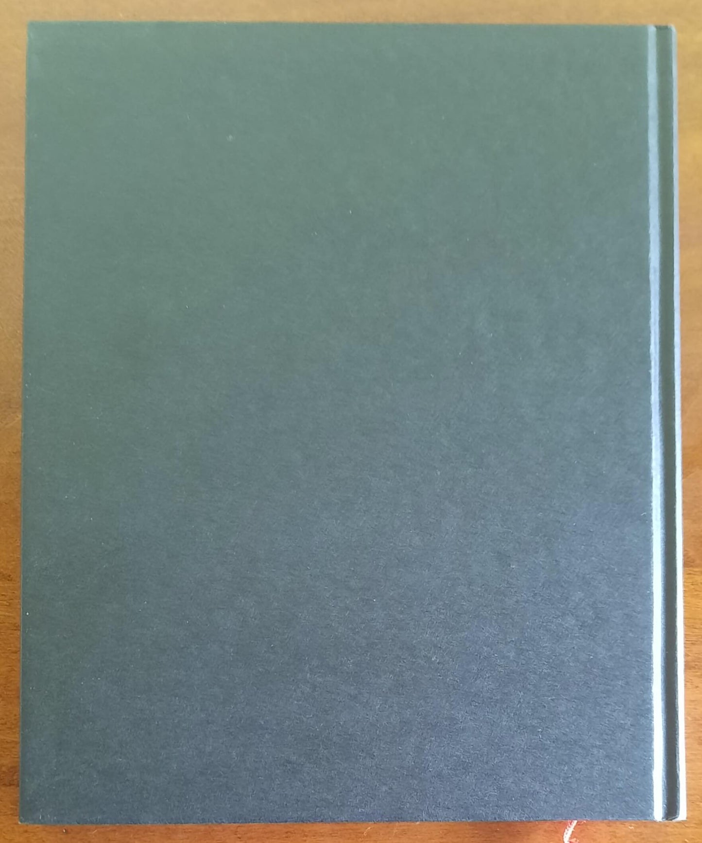 Masaccio. Catalogo completo - Octavo Franco Cantini Editore