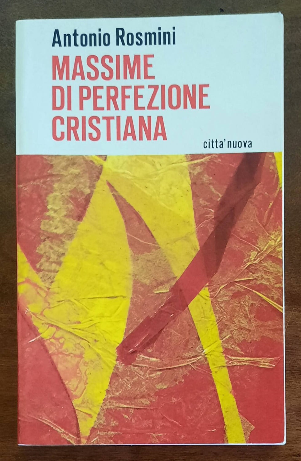 Massime di perfezione cristiana - di Antonio Rosmini