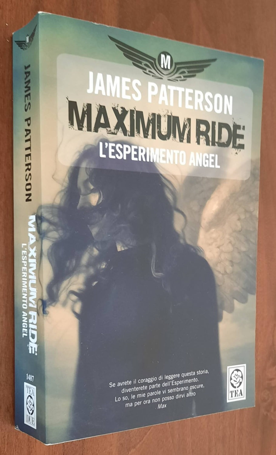 Maximum Ride: L’ esperimento Angel