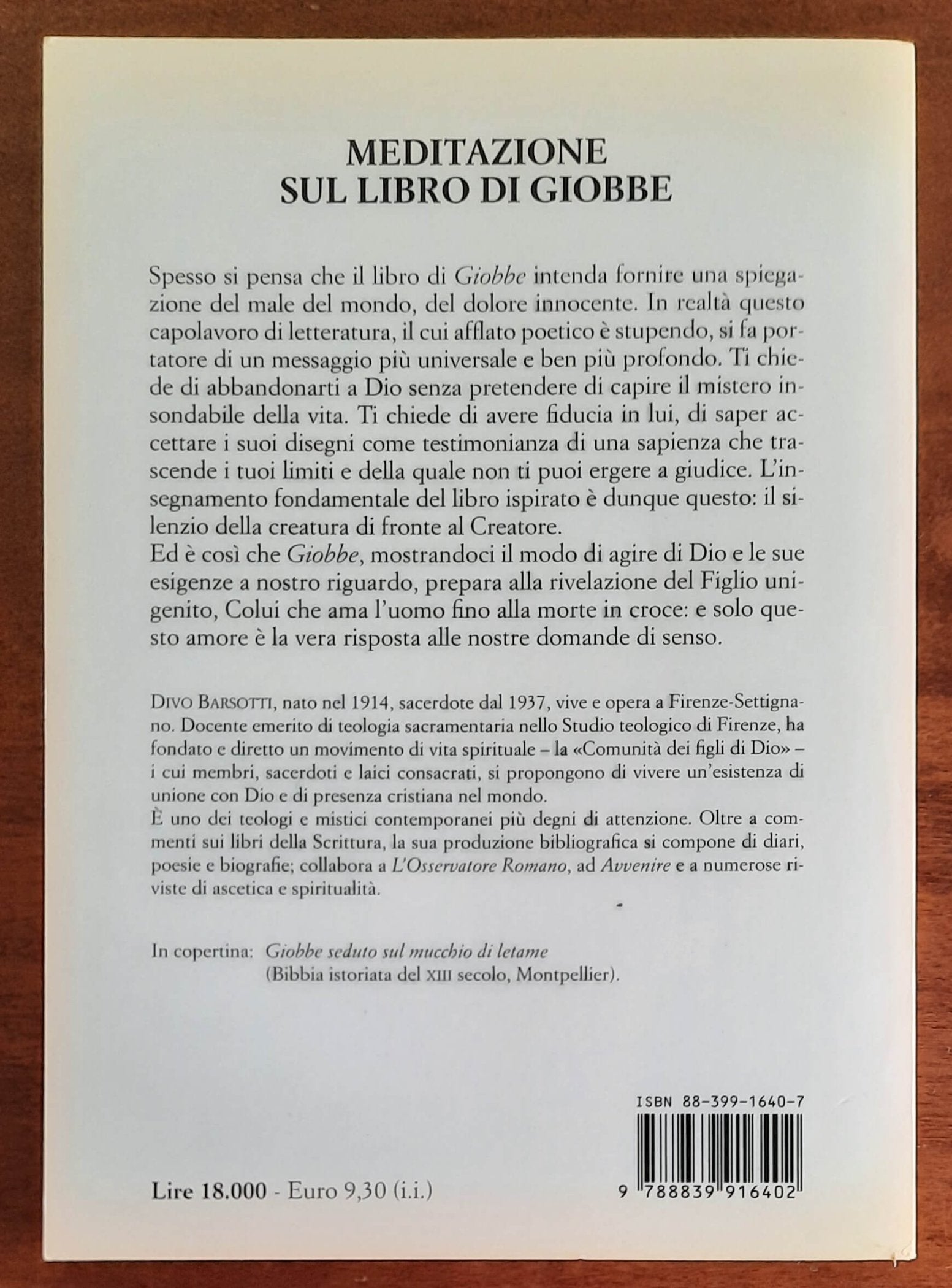 Meditazione sul libro di Giobbe