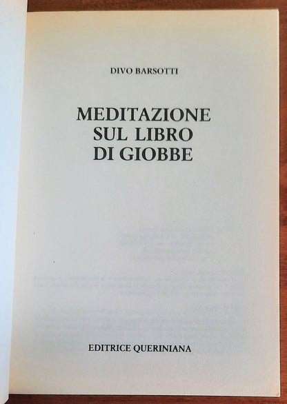 Meditazione sul libro di Giobbe