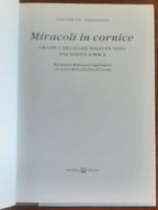 Miracoli in cornice. Grazie e disgrazie negli ex voto dal Boden a Boca