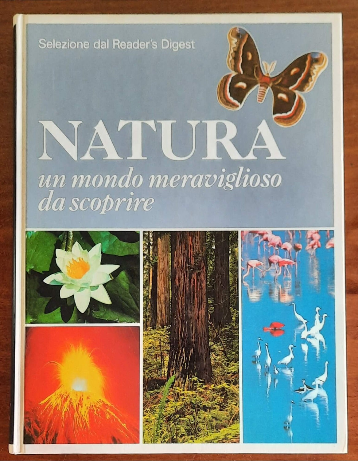 Natura: un mondo meraviglioso da scoprire