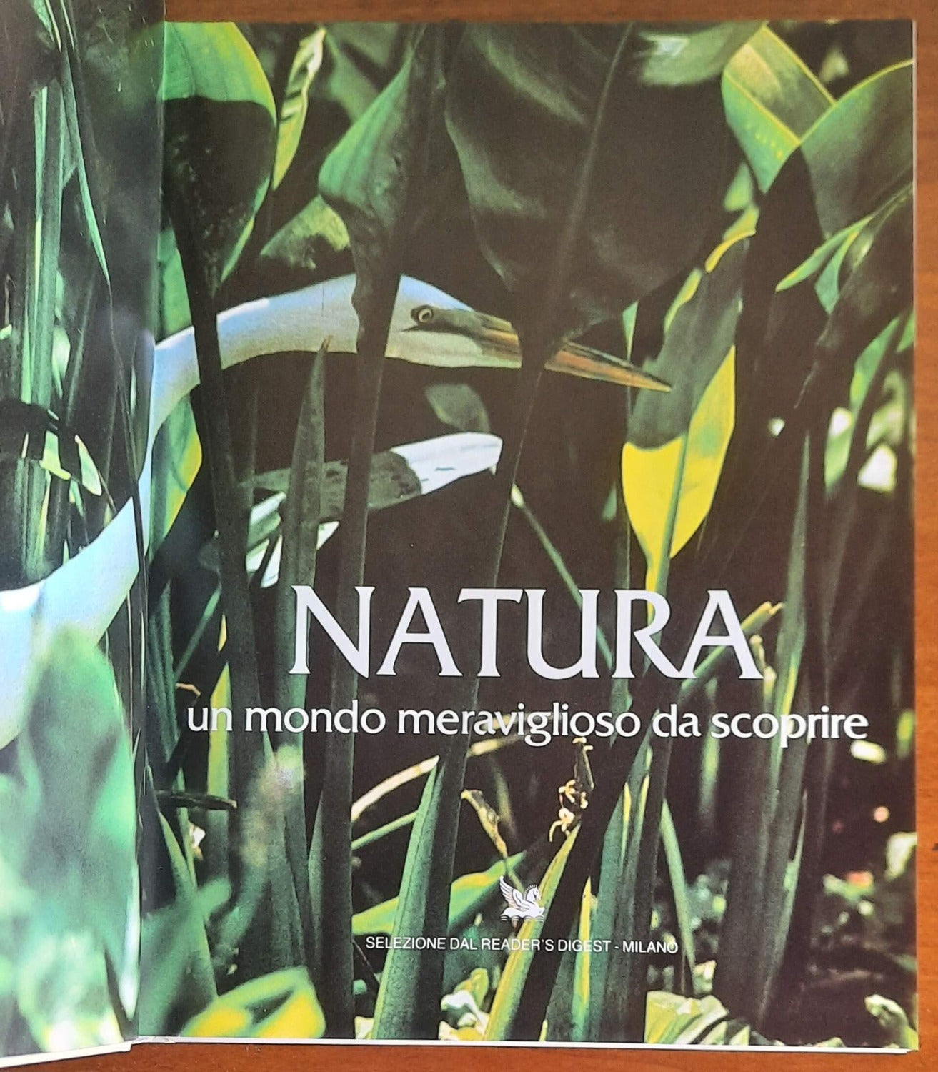 Natura: un mondo meraviglioso da scoprire