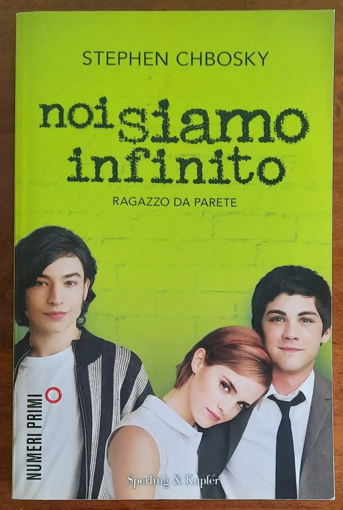 Noi siamo infinito. Ragazzo da parete