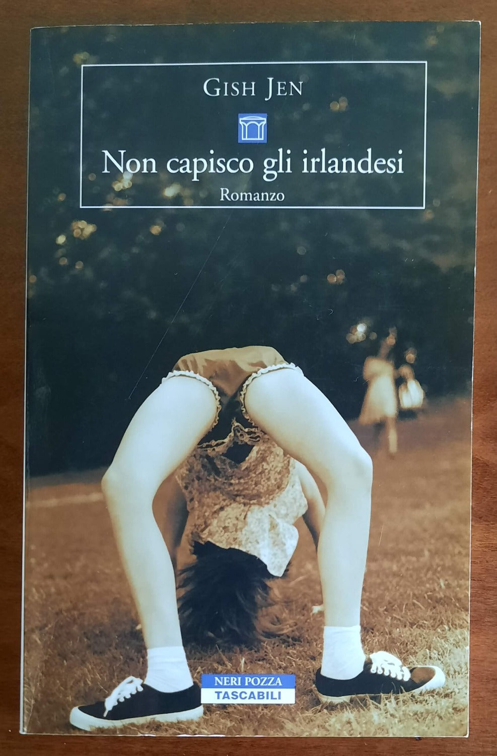 Non capisco gli irlandesi - Neri Pozza