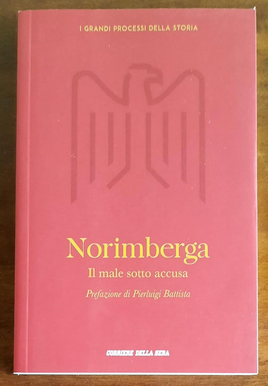 Norimberga. Il male sotto accusa