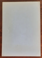 Nuove idee di fotografia subacquea - Libreria Biellese