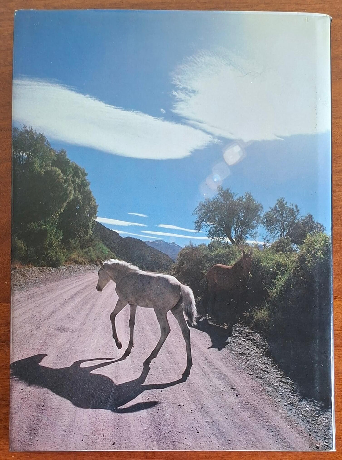 Patagonia. Terra del silenzio - Casa Editrice Erizzo