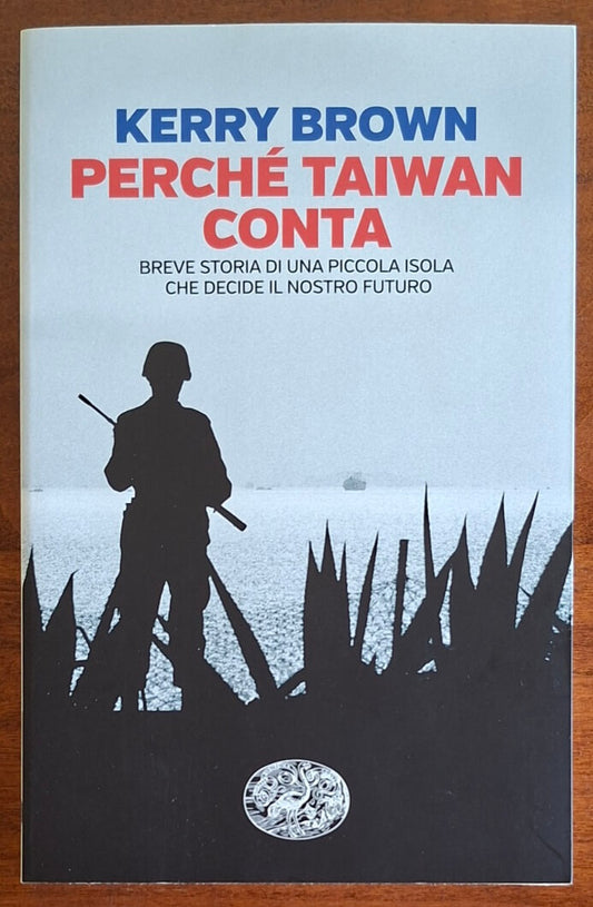 Perché Taiwan conta. Breve storia di una piccola isola che decide il nostro futuro