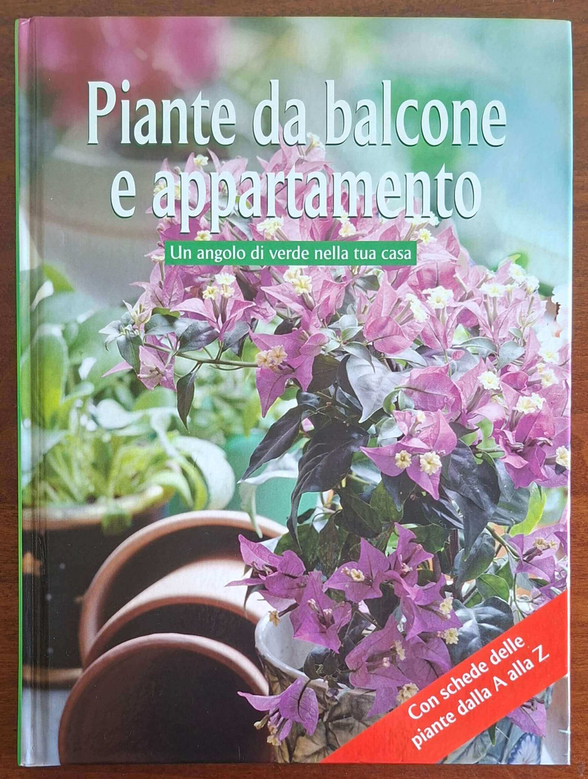 Piante da balcone e da appartamento. Un angolo di verde nella tua casa