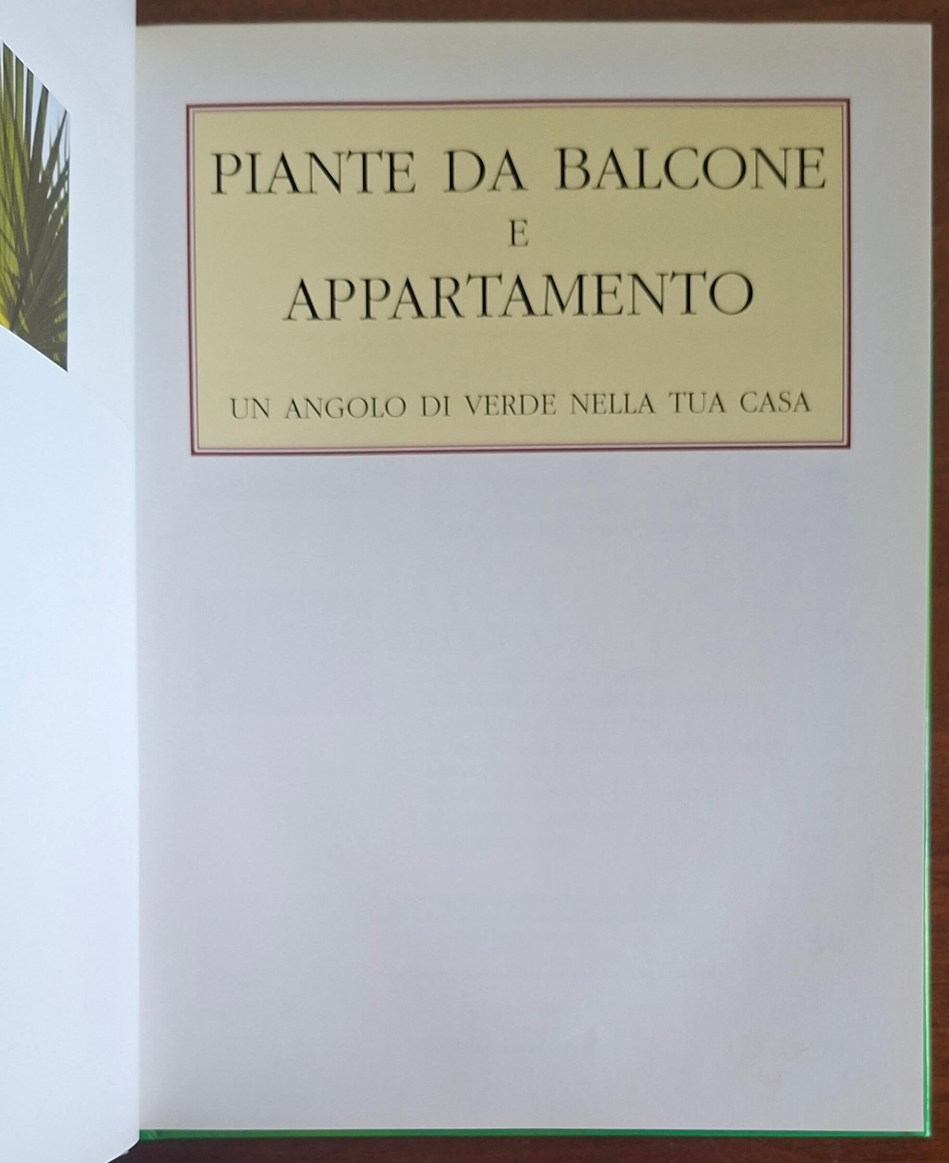 Piante da balcone e da appartamento. Un angolo di verde nella tua casa