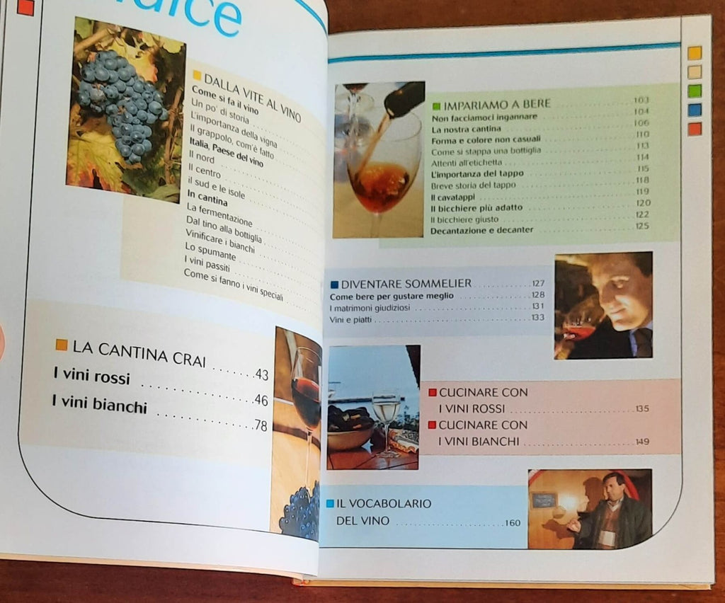 Piccola enciclopedia del vino - Libreria Biellese