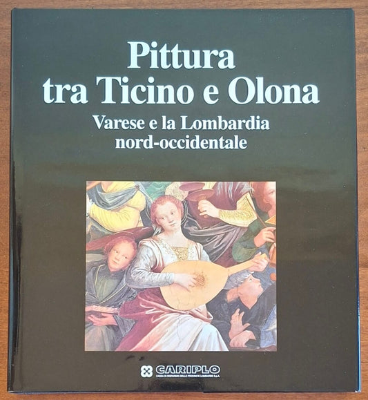 Pittura tra Ticino e Olona. Varese e la Lombardia nord-occidentale