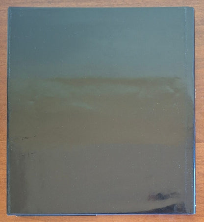 Pittura tra Ticino e Olona. Varese e la Lombardia nord-occidentale