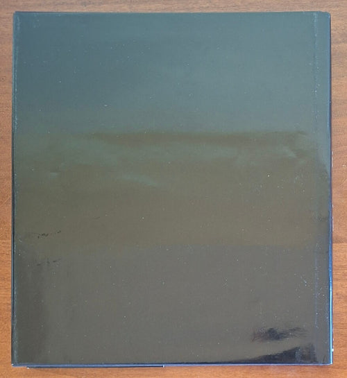 Pittura tra Ticino e Olona. Varese e la Lombardia nord-occidentale