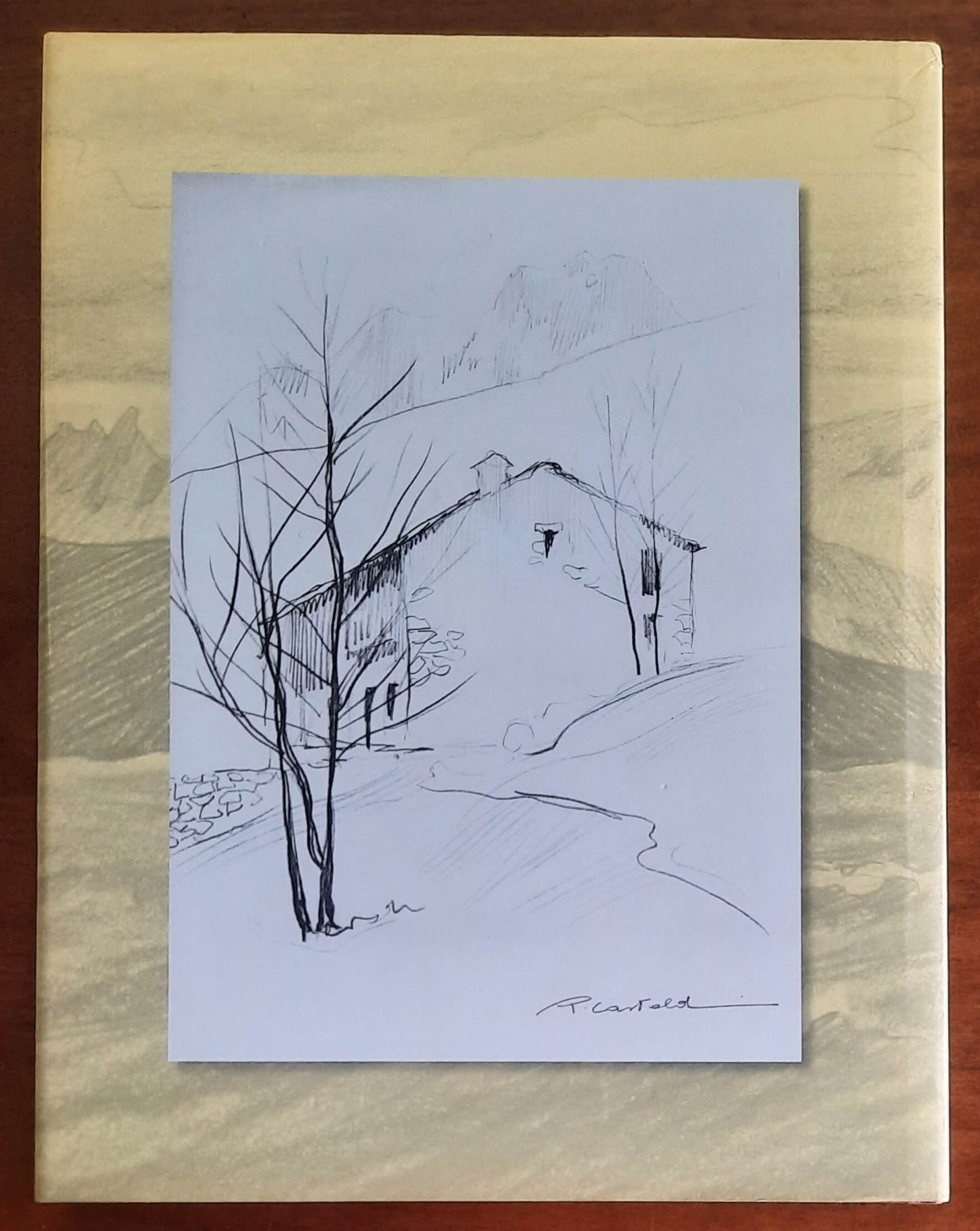 Placido Castaldi: Emozioni di viaggio di P. F. Gasparetto - Lyons Biella