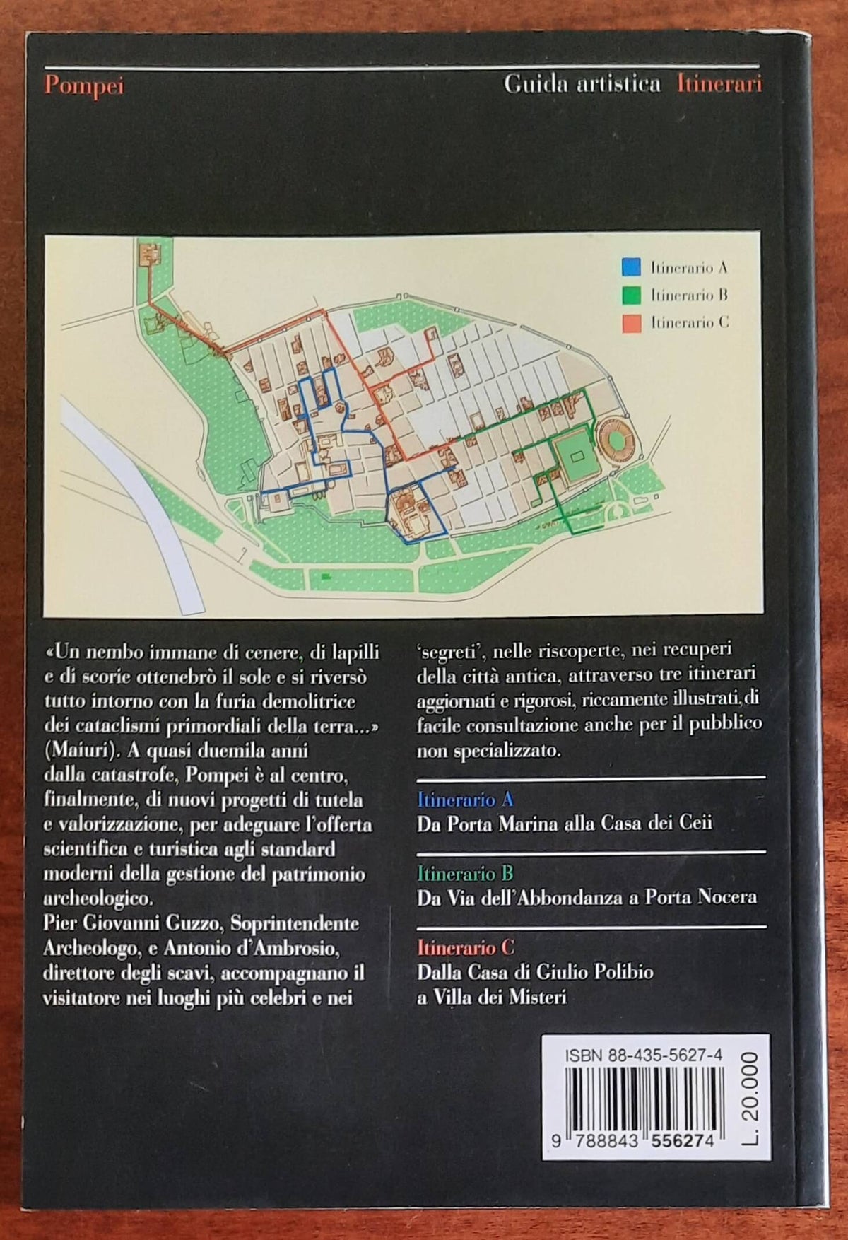 Pompei - di Pier Giovanni Guzzo e Antonio D’Ambrosio - Electa Napoli. Guide artistiche