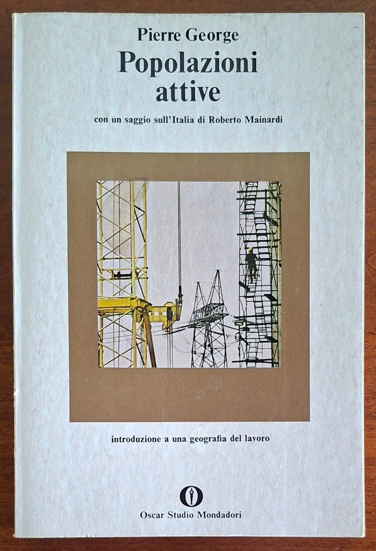 Popolazioni attive. Introduzione a una geografia del lavoro