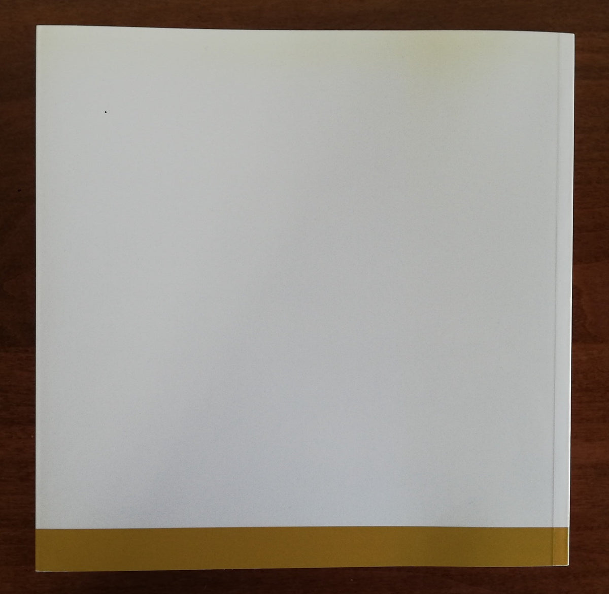 RINASCERE. Nascita e rinascita tra arte antica e arte contemporanea.