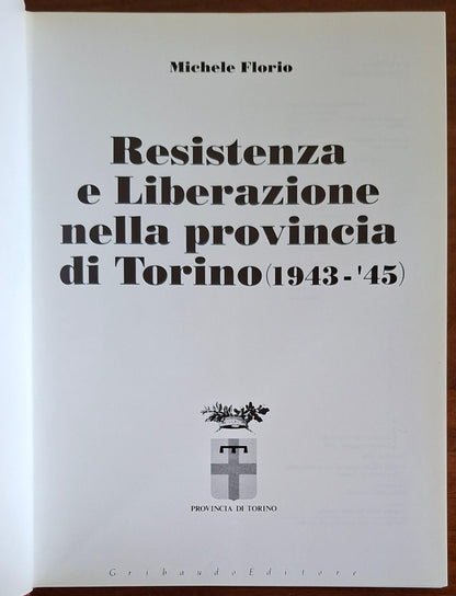 Resistenza e Liberazione nella provincia di Torino (1943-'45)
