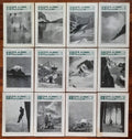 Rivista mensile del Club Alpino Italiano 1932 - Annata Completa
