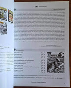SS-Panzerknacker: uomini contro carri, armi, uomini, decorazioni - Ritterkreuz