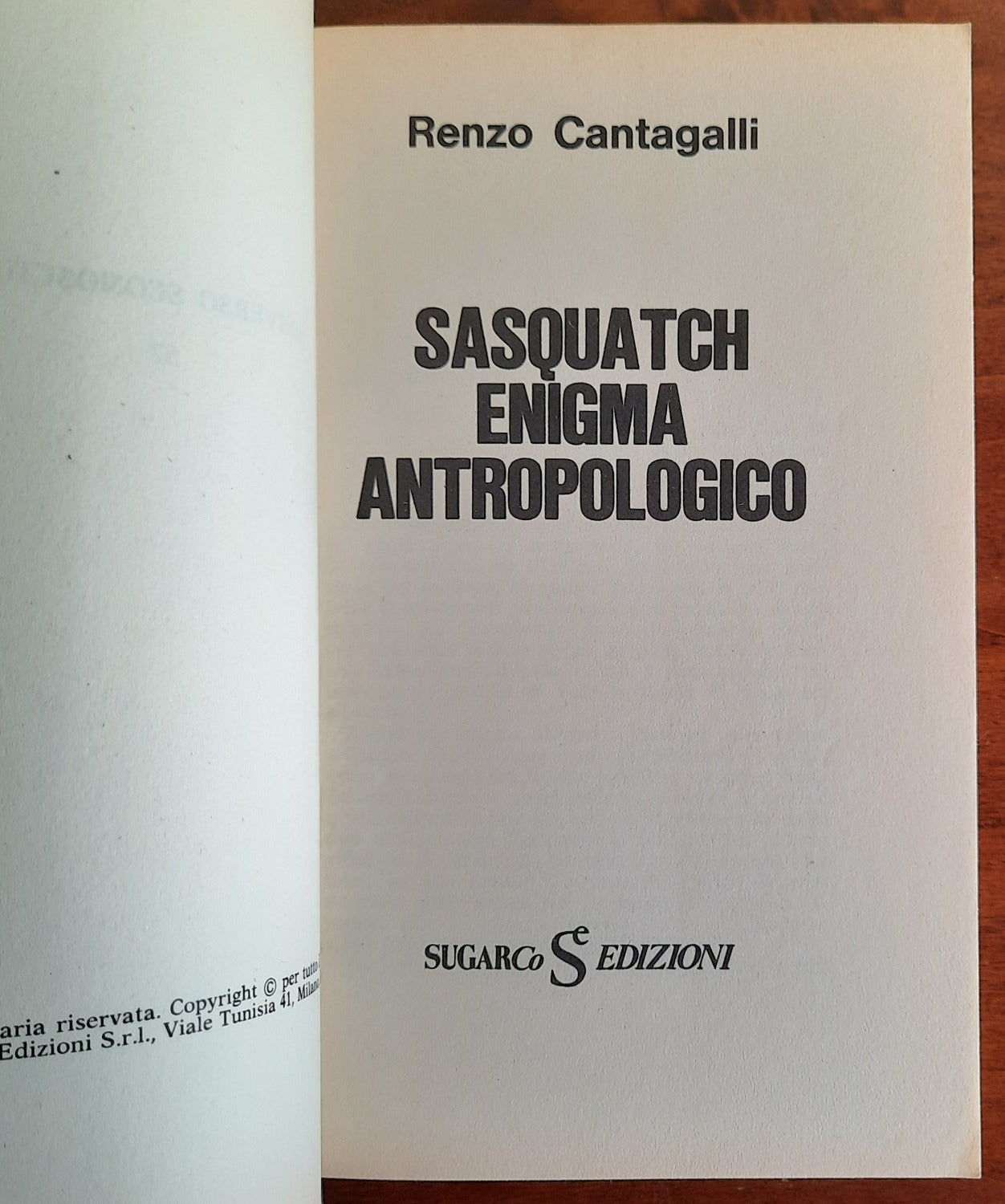 Sasquatch enigma antropologico
