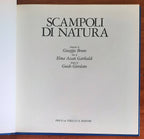 Scampoli di Natura - Priuli e Verlucca