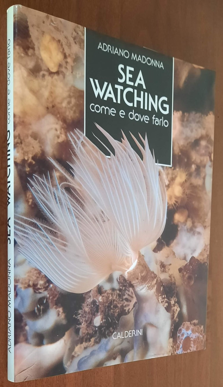 Sea watching. Come e dove farlo - Libreria Biellese