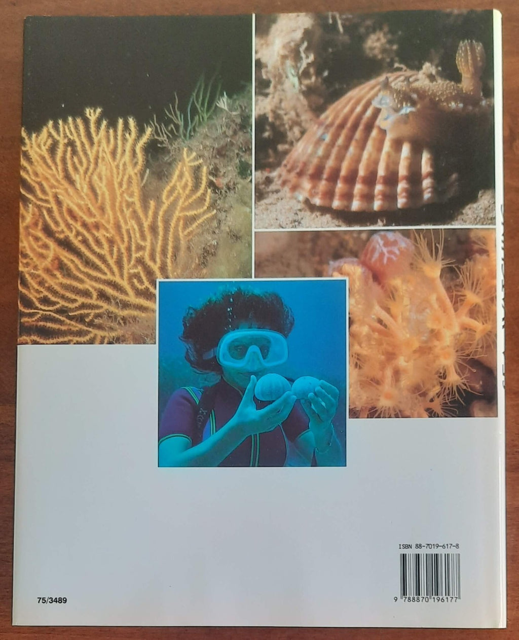 Sea watching. Come e dove farlo - Libreria Biellese