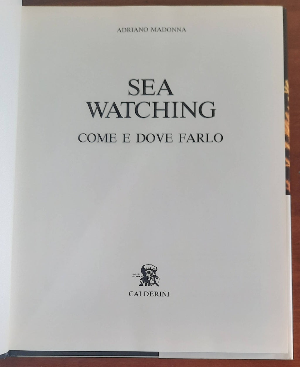 Sea watching. Come e dove farlo - Libreria Biellese