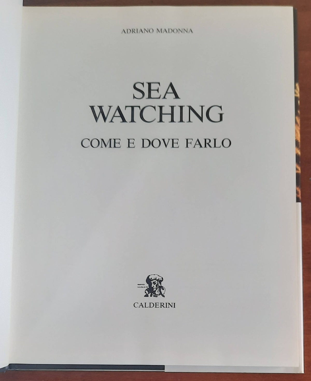 Sea watching. Come e dove farlo - Libreria Biellese