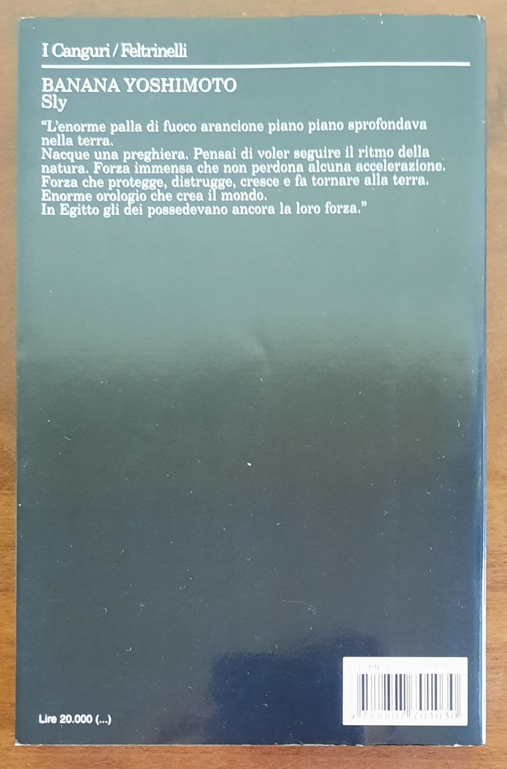 Sly - di Banana Yoshimoto - 1998 - Libreria Biellese
