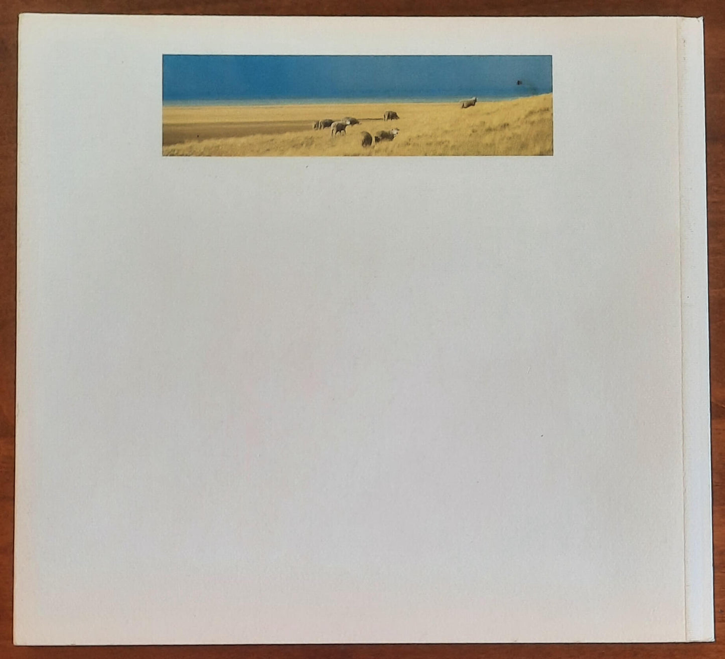 Terra del Fuego - Eventi & Progetti Editore