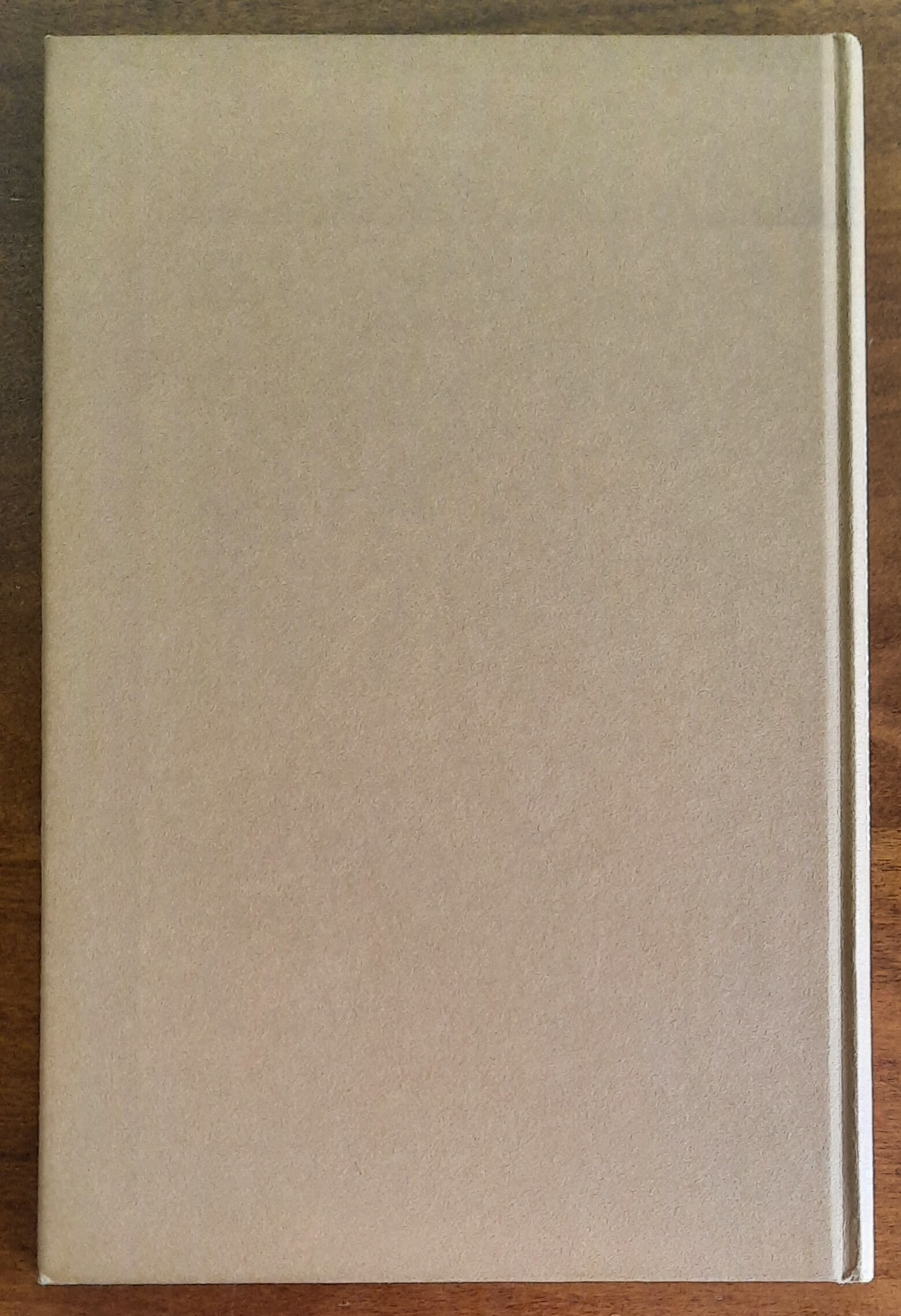 Thesaurus Ruberti. Ricette, incantesimi e farmaci segreti raccolti da Ruberto Di Guido Bernardi nel XIV sec