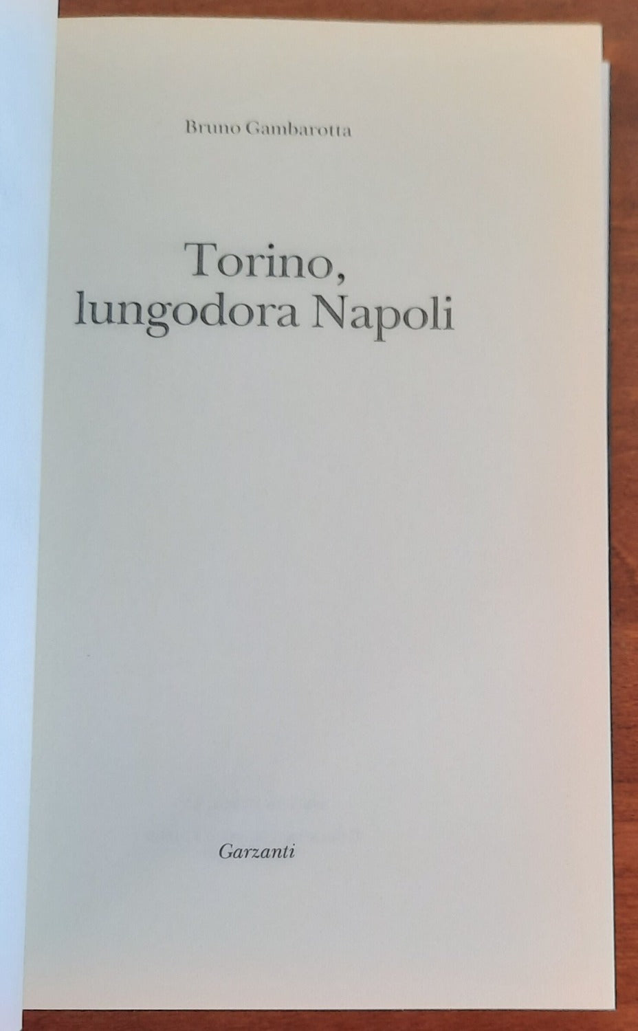 Torino, lungodora Napoli - di Bruno Gambarotta