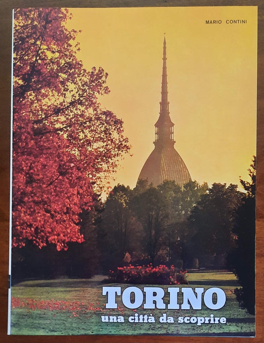 Torino una citta da scoprire