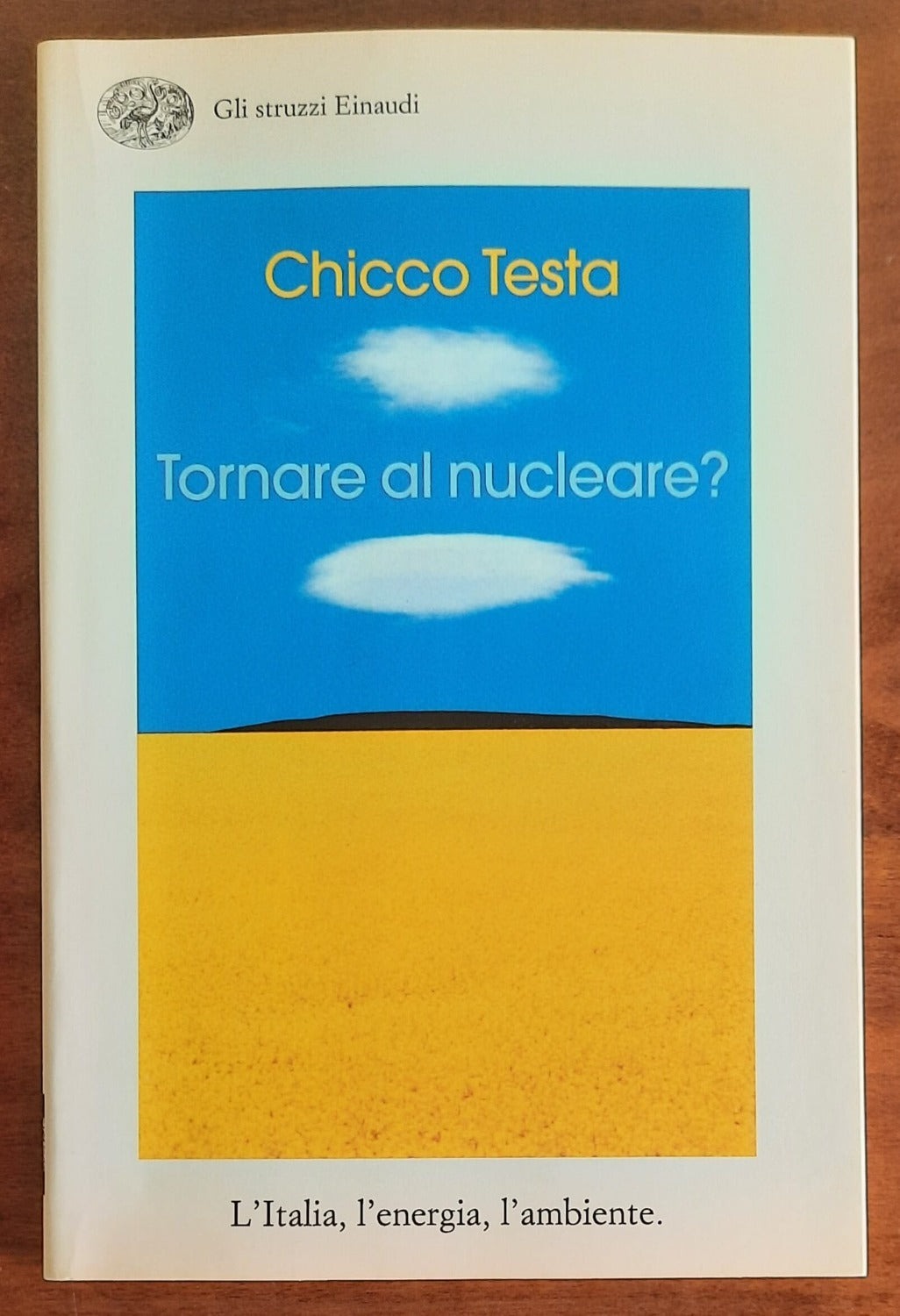 Tornare al nucleare? L’Italia, l’energia, l’ambiente