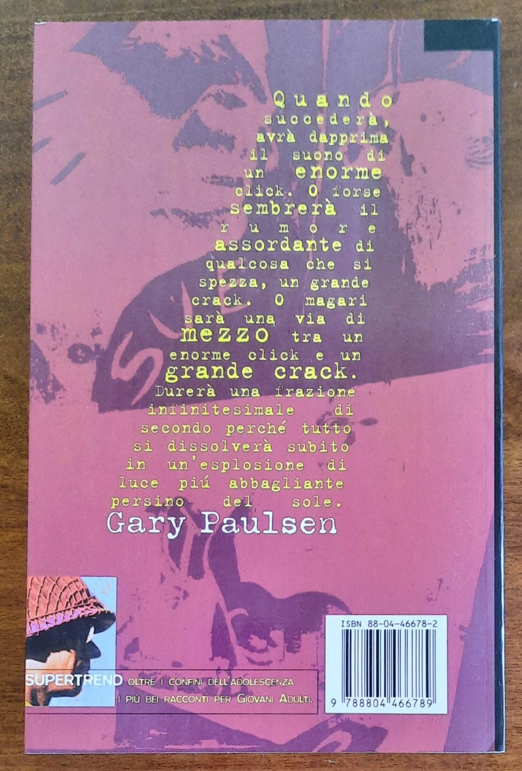 Tracce - di Gary Paulsen - Mondadori