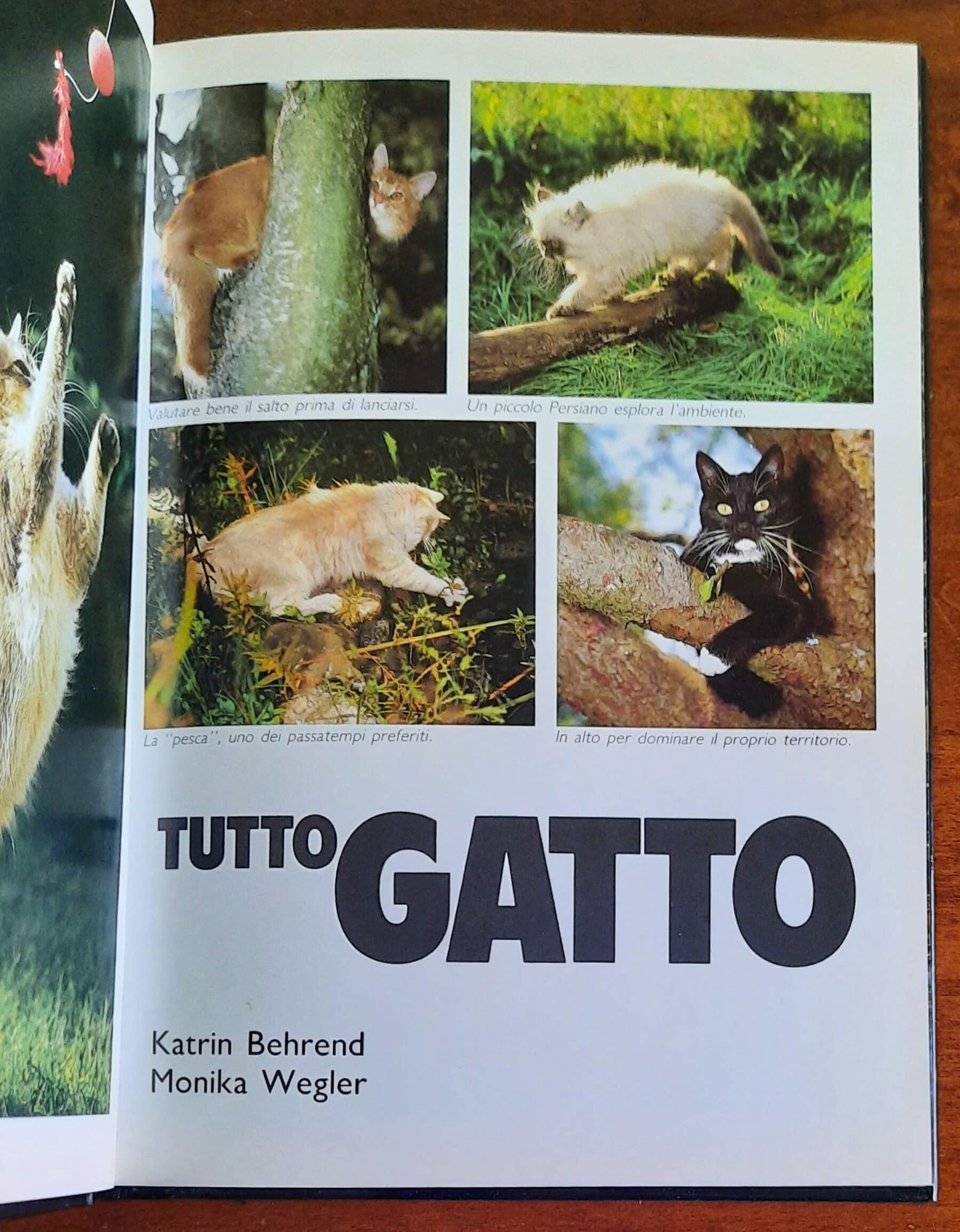 Tutto Gatto - K.Beherend e M.Wegler - CDE