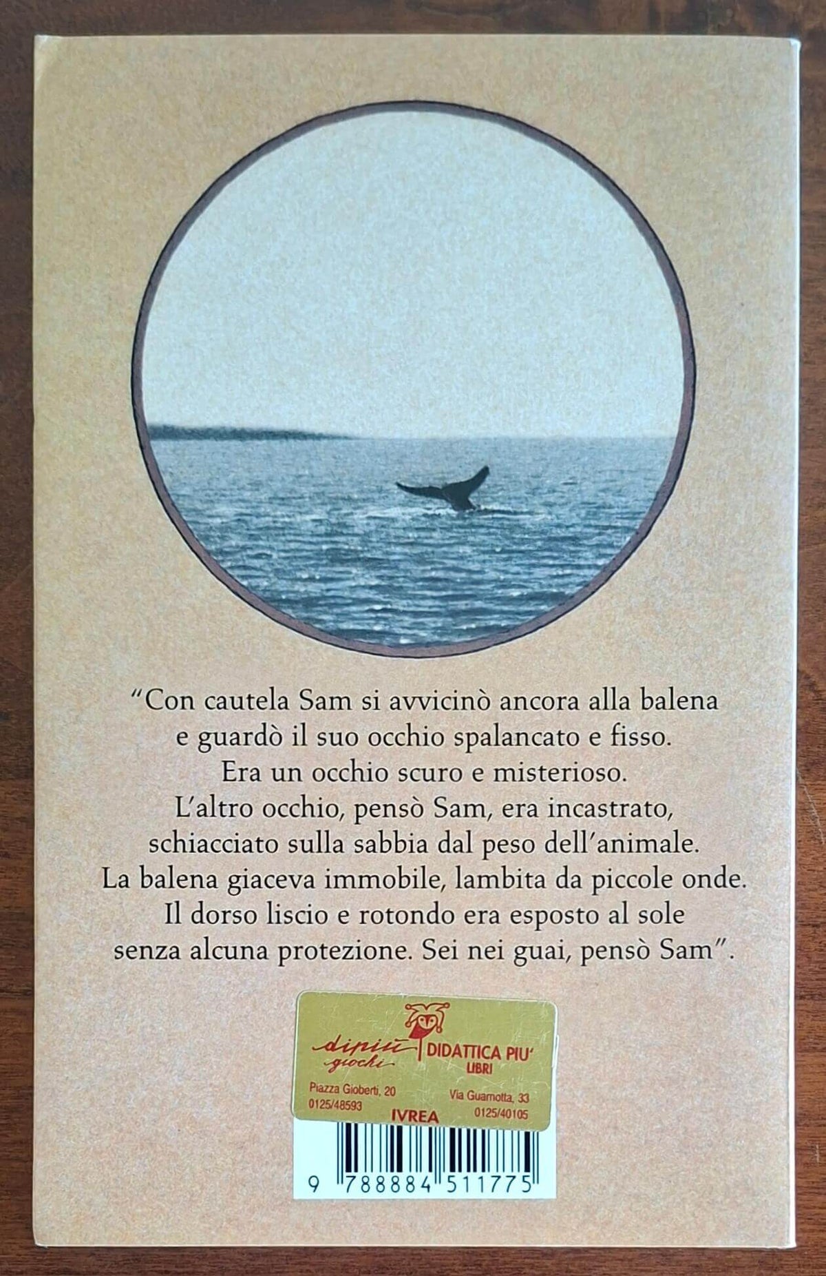 Un bambino e una balena - Salani Editore