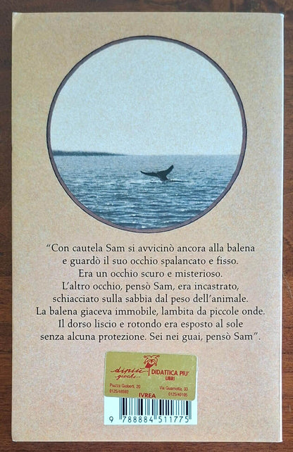 Un bambino e una balena - Salani Editore