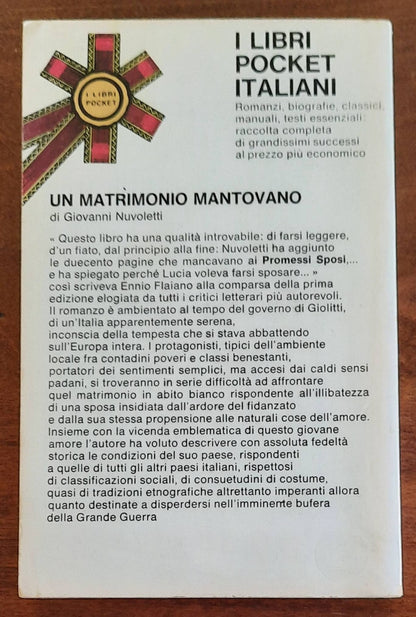 Un matrimonio mantovano. I segreti di una grande provincia