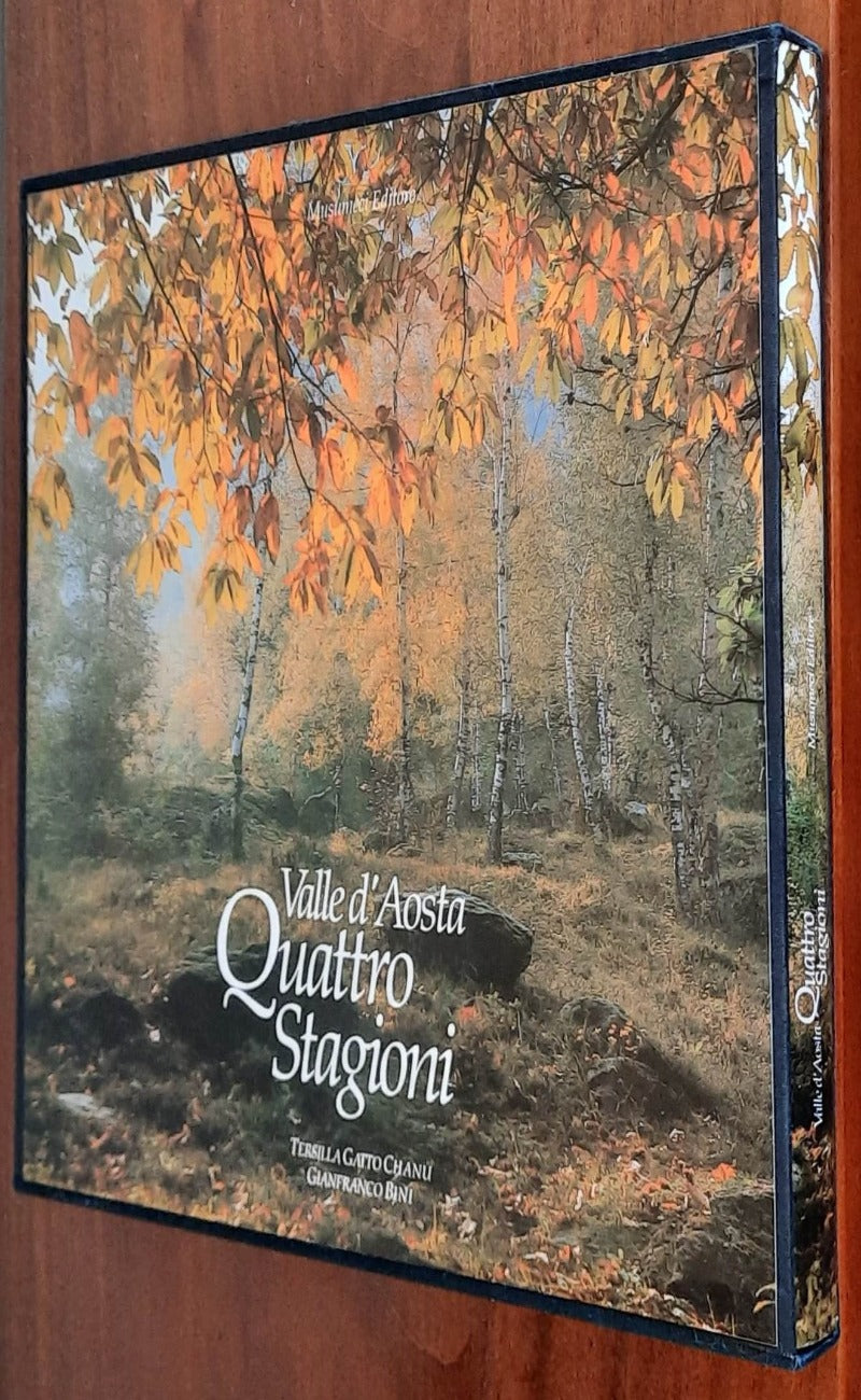 Valle d’Aosta. Quattro stagioni - Musumeci Editore