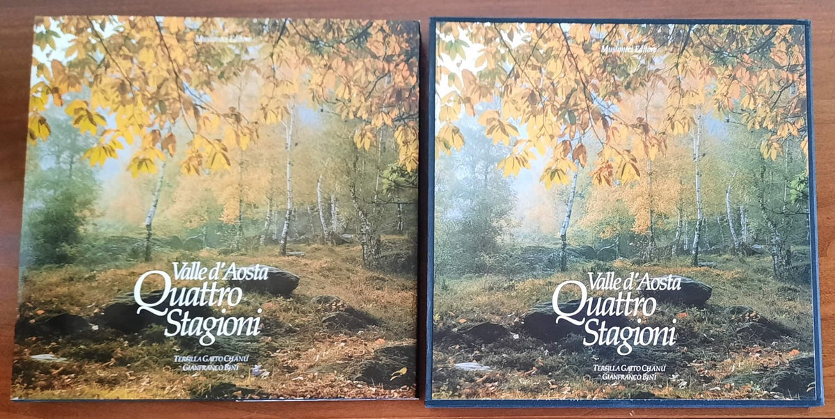 Valle d’Aosta. Quattro stagioni - Musumeci Editore
